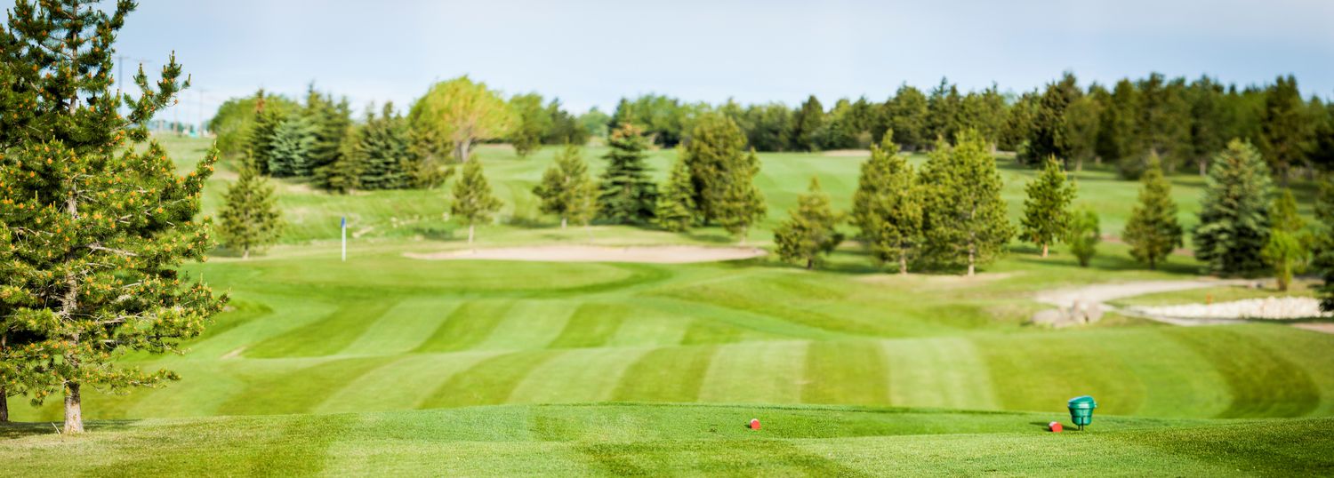 Membership Information Meadowlands Golf Club at Sylvan Lake